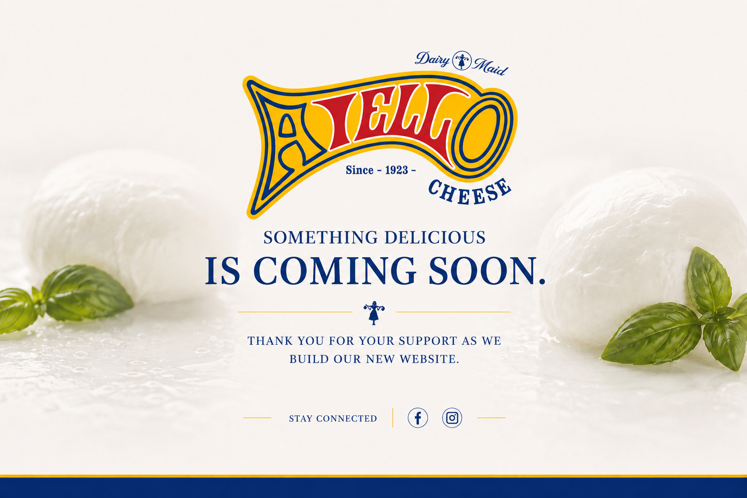 Aiello Cheese — Dairy Maid, since 1923. Something delicious is coming soon. Thank you for your support as we build our new website.
